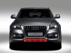 Novi automobili - Audi Q5 Custom Concept
